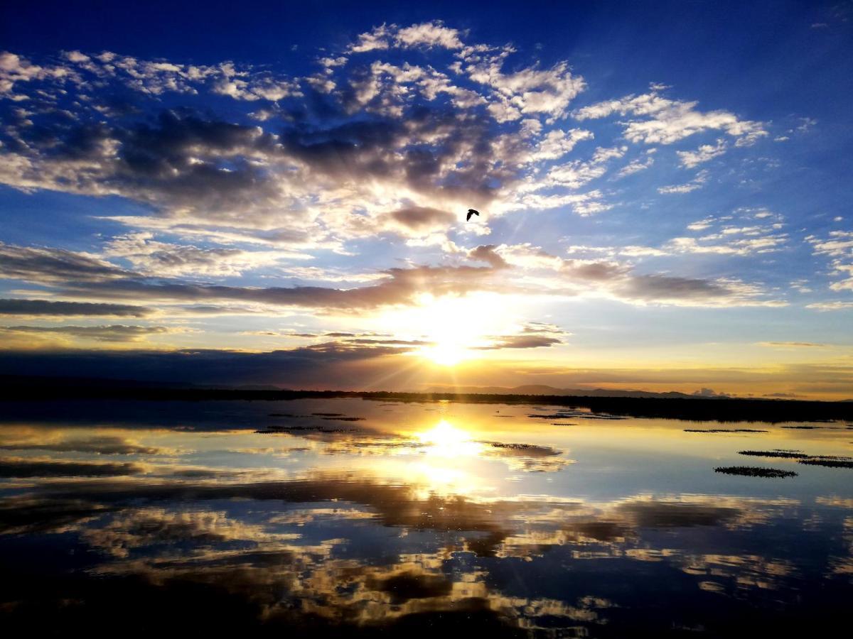 Titicaca Vandrarhem Puno Exteriör bild