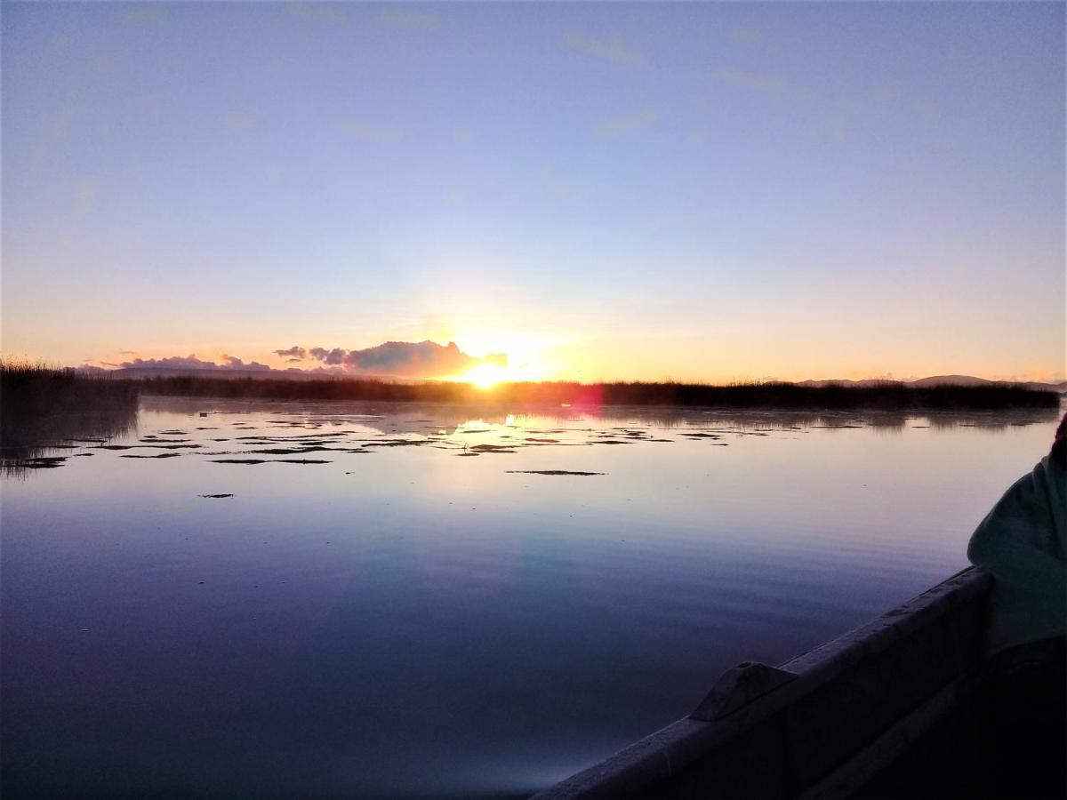 Titicaca Vandrarhem Puno Exteriör bild